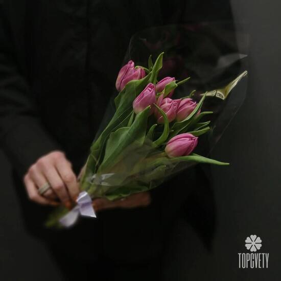Букет из 7 малиновых  тюльпанов 