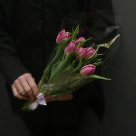 Букет из 7 малиновых  тюльпанов 