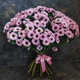 Букет из 21 розовой кустовой хризантемы Сантини №186
