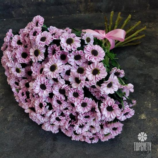 Букет из 21 розовой кустовой хризантемы Сантини №186