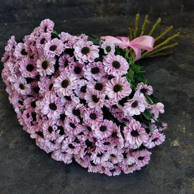 Букет из 21 розовой кустовой хризантемы Сантини №186