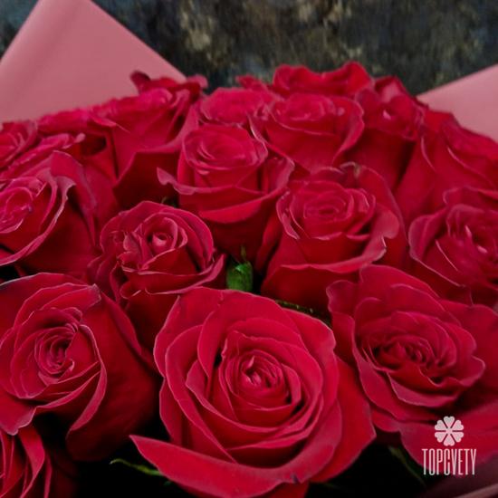 Букет из 25 красных роз Эксплорер 70см