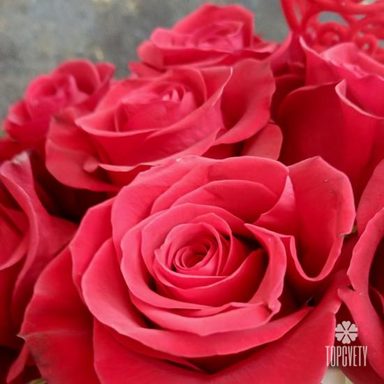 Букет из 25 красных роз Эксплорер 70см