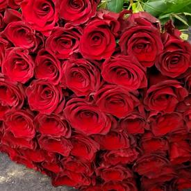 Букет из 75 красных роз