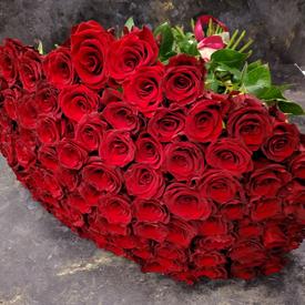 Букет из 75 красных роз