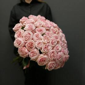Букет из 51 розы Бимба 50см