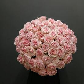 Букет из 51 розы Бимба 50см