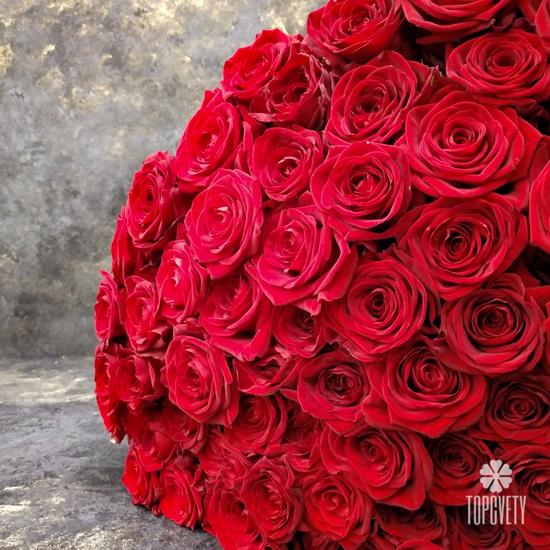 Букет из 101 красной розы Гран При 70см