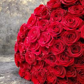 Букет из 101 красной розы Гран При 70см