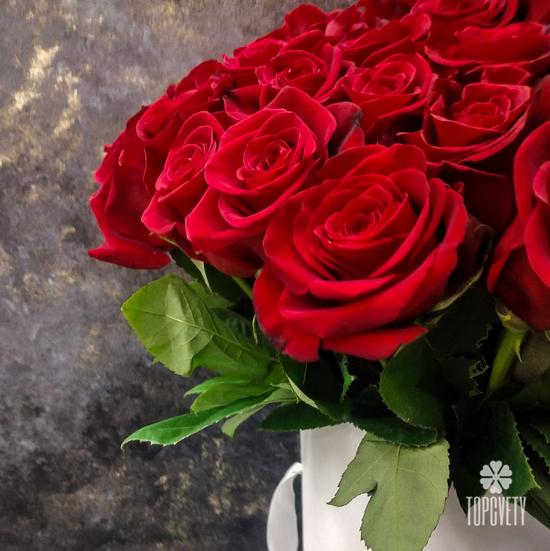 Букет из 75 красных роз Фридом