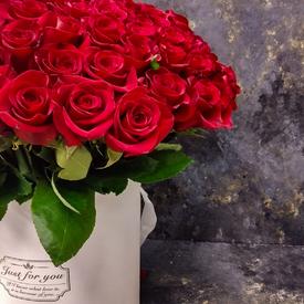 Букет из 75 красных роз Фридом