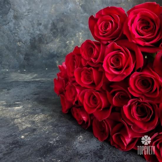 Букет из 25 красных роз Фридом