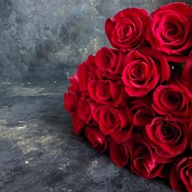 Букет из 25 красных роз Фридом