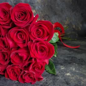 Букет из 25 красных роз Фридом