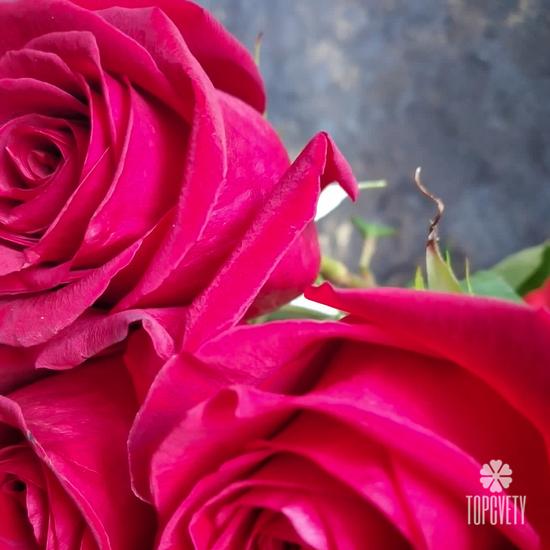 Букет из 25 красных роз Фридом