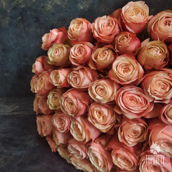 Букет из 51 пионовидной розы Кахала 60см