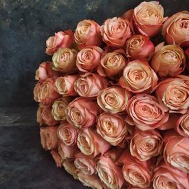 Букет из 51 пионовидной розы Кахала 60см