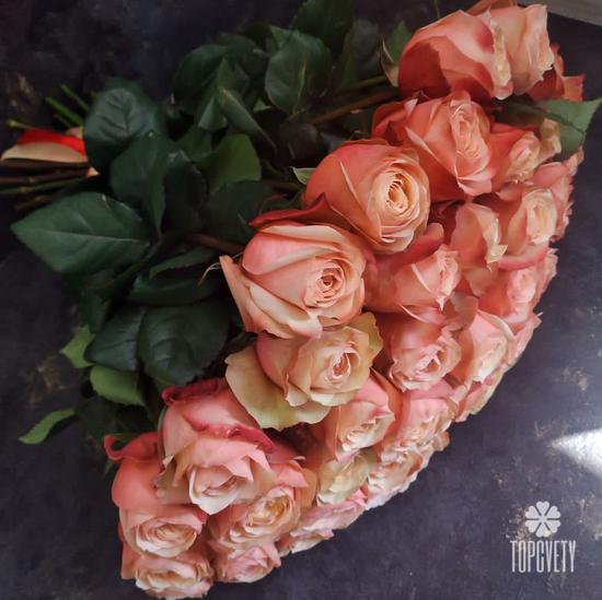 Букет из 51 пионовидной розы Кахала 60см