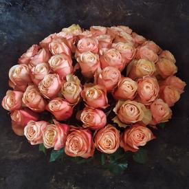 Букет из 51 пионовидной розы Кахала 60см