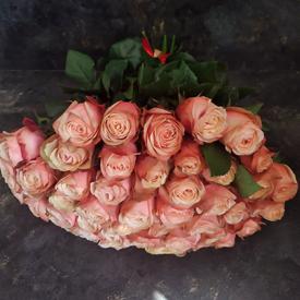 Букет из 51 пионовидной розы Кахала 60см