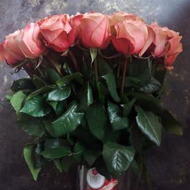 Букет из 51 пионовидной розы Кахала 60см