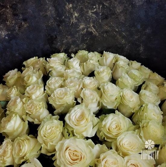 Букет из 75 белых роз Мондиаль 70см