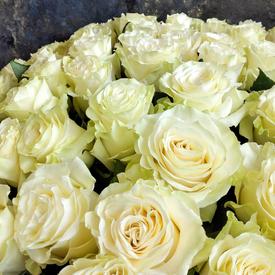 Букет из 75 белых роз Мондиаль 70см