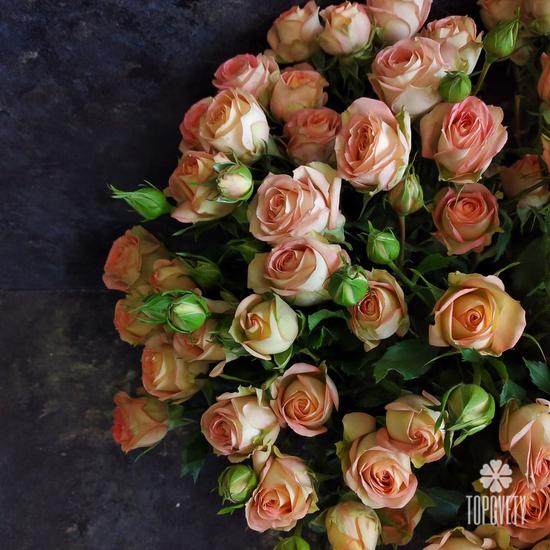 Букет из 21 кремовой кустовой розы 50см