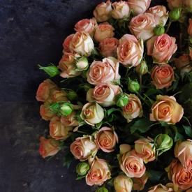 Букет из 21 кремовой кустовой розы 50см