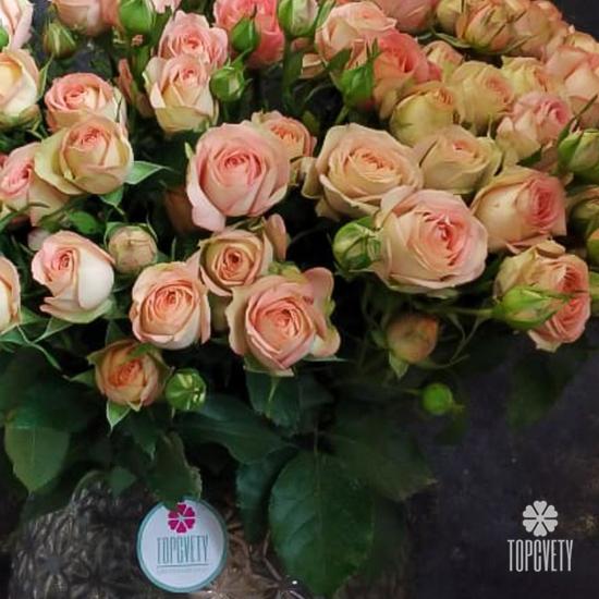 Букет из 21 кремовой кустовой розы 50см