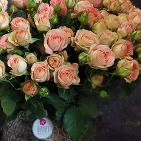 Букет из 21 кремовой кустовой розы 50см