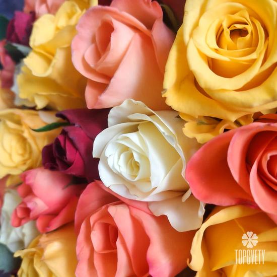 Букет из 101 розы микс 40см