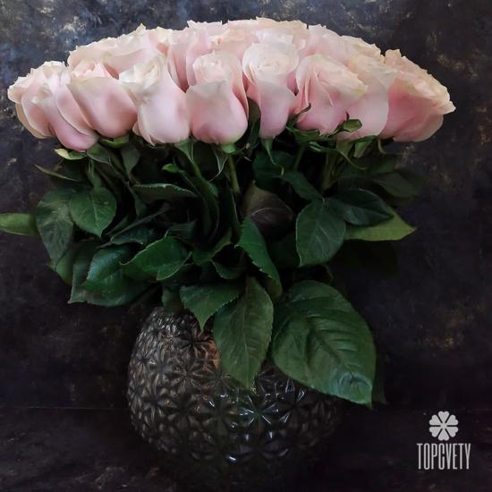 Букет из 35 розовых сортовых роз