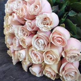 Букет из 35 розовых сортовых роз