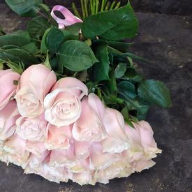 Букет из 35 розовых сортовых роз