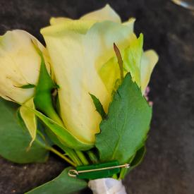 Букет невесты № 11