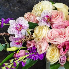 Букет из орхидей, роз и георгин в коробке 