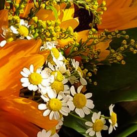 Букет из подсолнухов и танацетума 