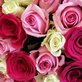 Букет из 51 розы в крафте 40см