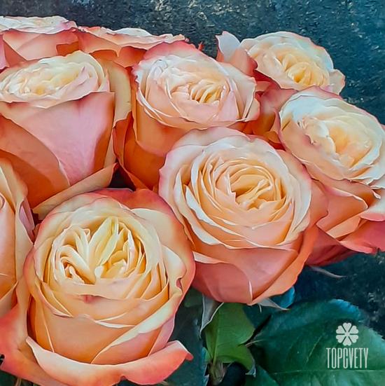Букет из 11 пионовидных роз Кахала 60см
