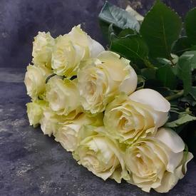 Букет из 11 белых роз Мондиаль 70см