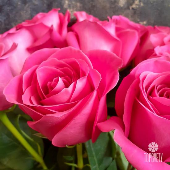 Букет из 11 розовых роз Пинк Флойд 70см