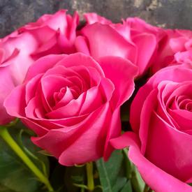 Букет из 11 розовых роз Пинк Флойд 70см