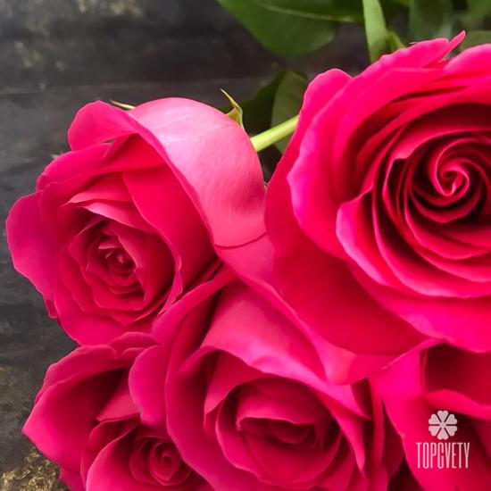 Букет из 11 розовых роз Пинк Флойд 70см