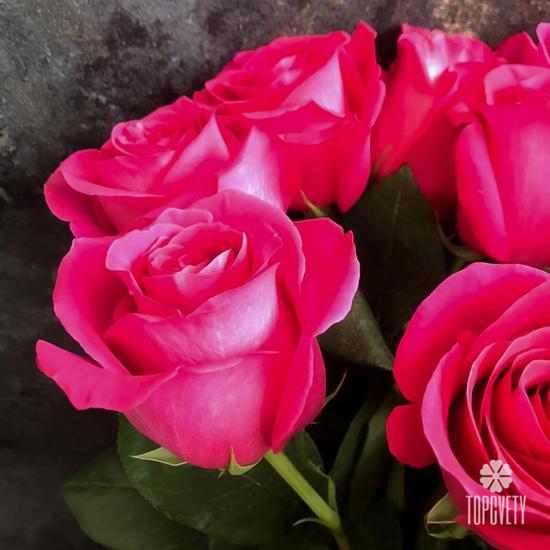 Букет из 11 розовых роз Пинк Флойд 70см