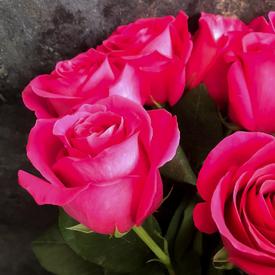 Букет из 11 розовых роз Пинк Флойд 70см