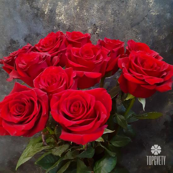 Букет из 11 красных роз Эксплорер 70см