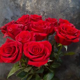 Букет из 11 красных роз Эксплорер 70см