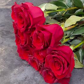 Букет из 11 красных роз Эксплорер 70см