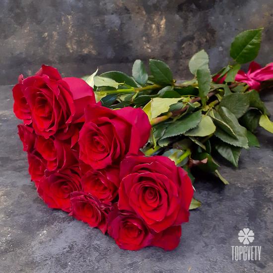 Букет из 11 красных роз Эксплорер 70см